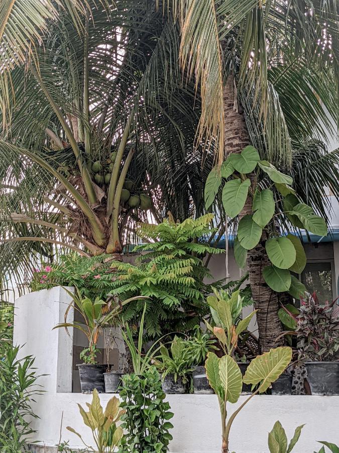 Dhoadhi Retreat Thulusdhoo Exterior foto