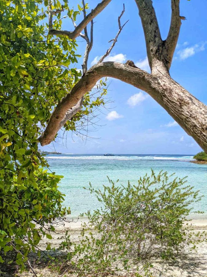 Dhoadhi Retreat Thulusdhoo Exterior foto
