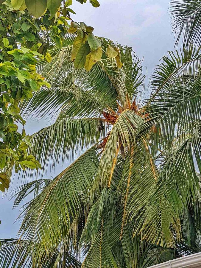 Dhoadhi Retreat Thulusdhoo Exterior foto